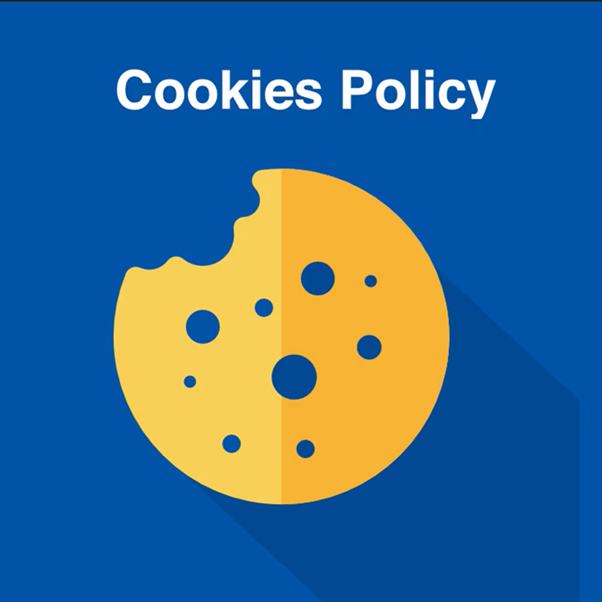 Masarani: Cookies Policy and Usage